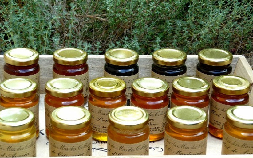 Miel différentes saveurs